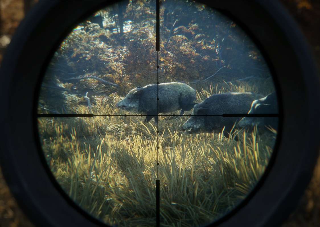 A Hunter's Guide to Long-Range Rifle Scopes - Foreseen