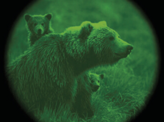 Hunting Night Vision