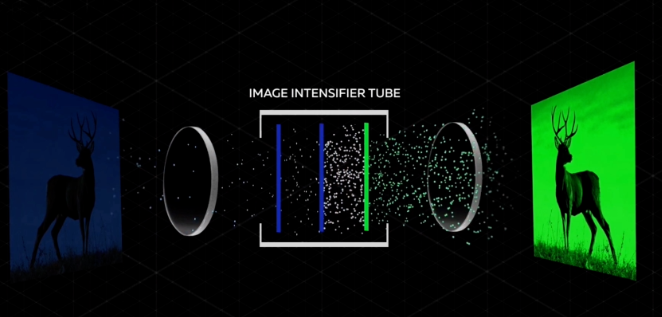 Night Vision Devices Use Green Images