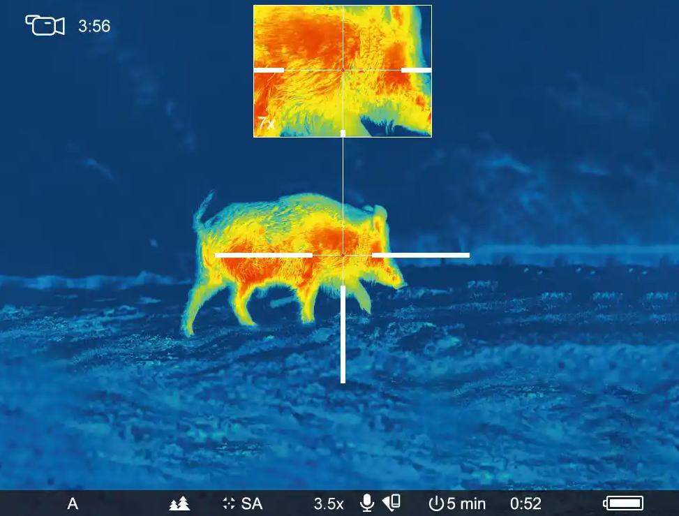 Thermal imaging display
