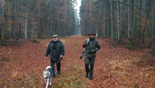 Hunting adventure in the jungle