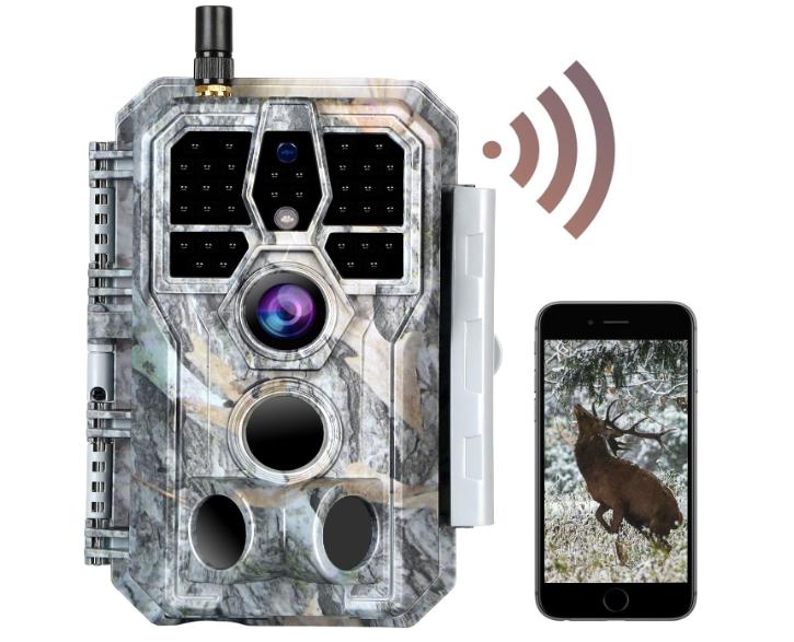Real-time transmission wildlife camera