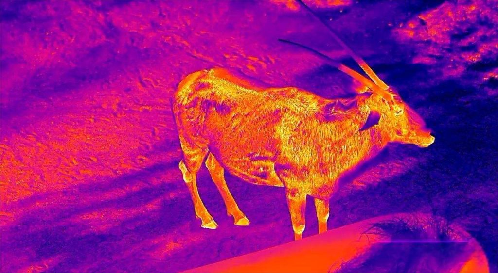 Use Thermal Scopes huntting