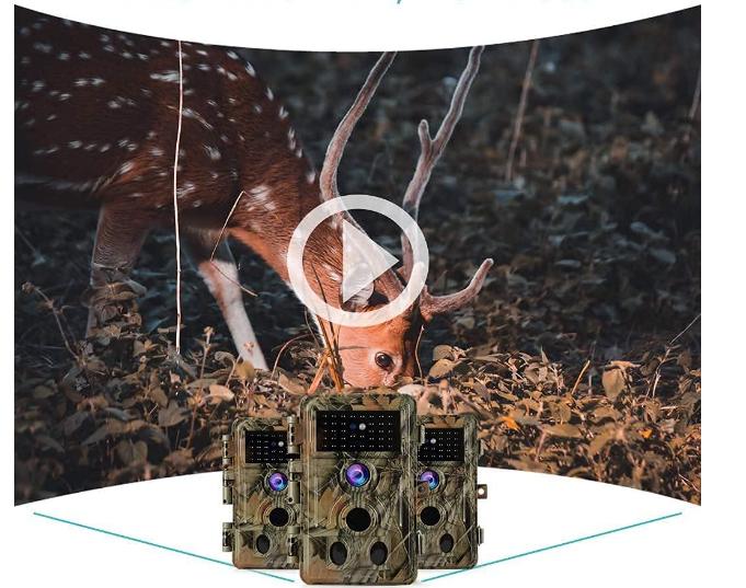 Wide view Wildlife Camera