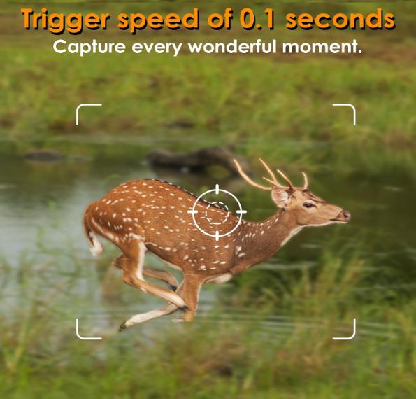 Wildlife Camera Capturing fast-moving animals