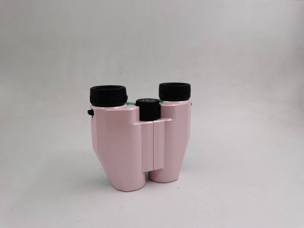 10x25 Compact Binoculars LODP10254 2