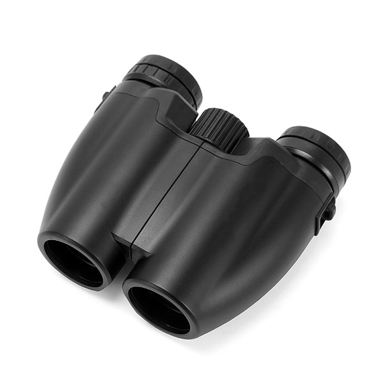 10x25 Porro binoculars LODP10253 3