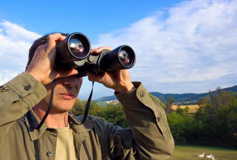 Porro Prism Binocular watching