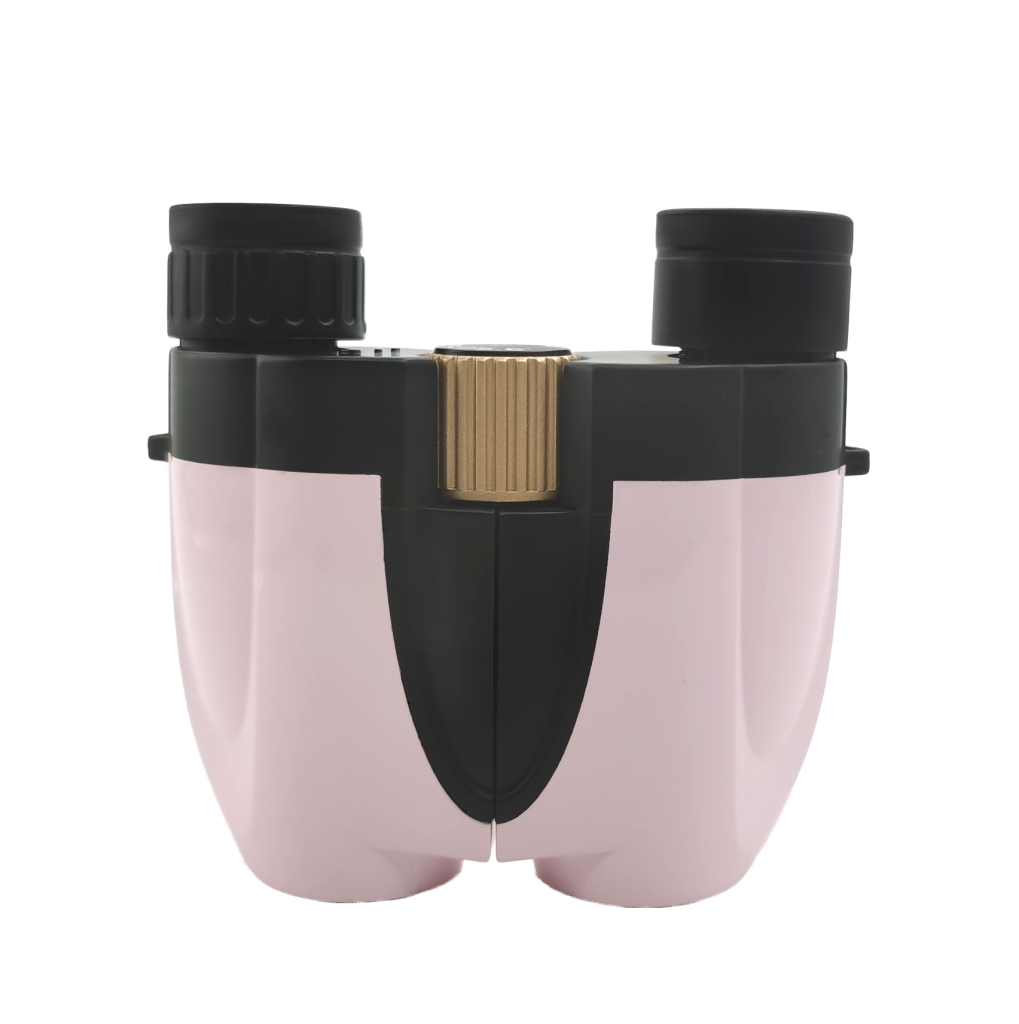 Compact 10x25 Binoculars LIDP253 1