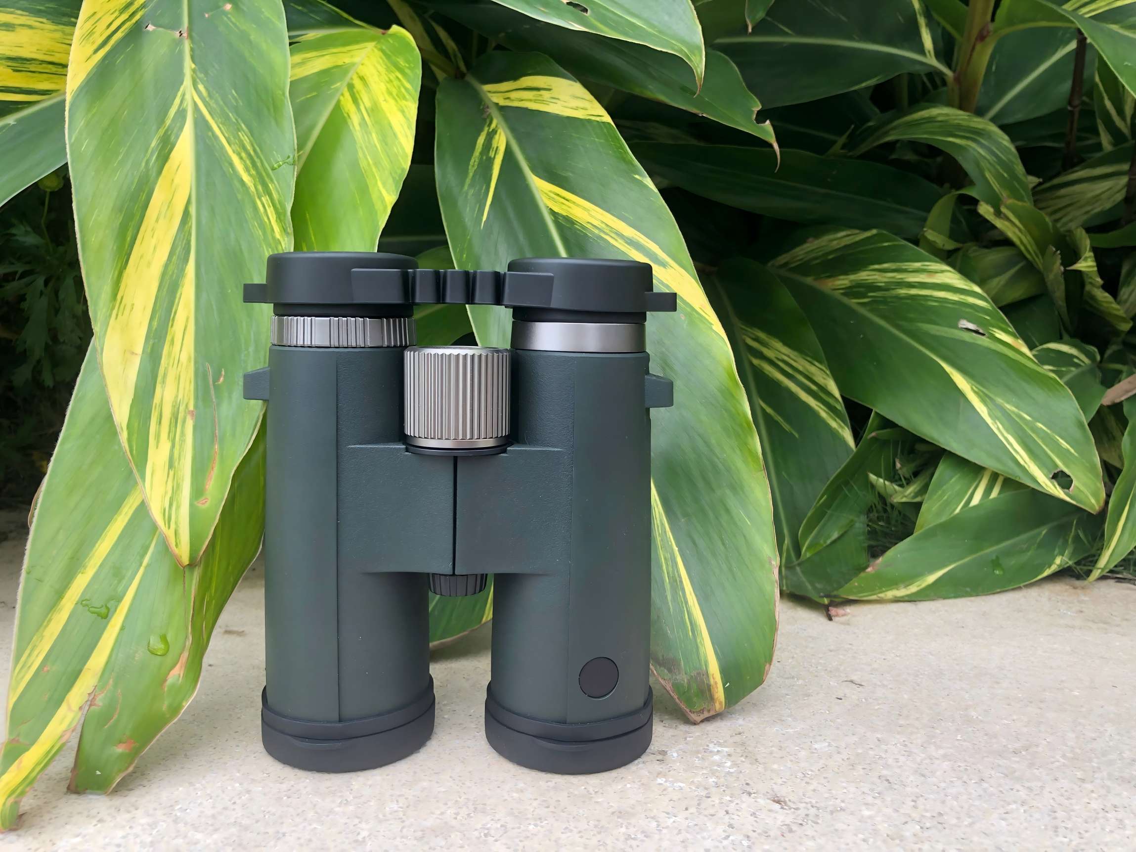 10×42 Roof Prism Binoculars YIKR1042-5 1