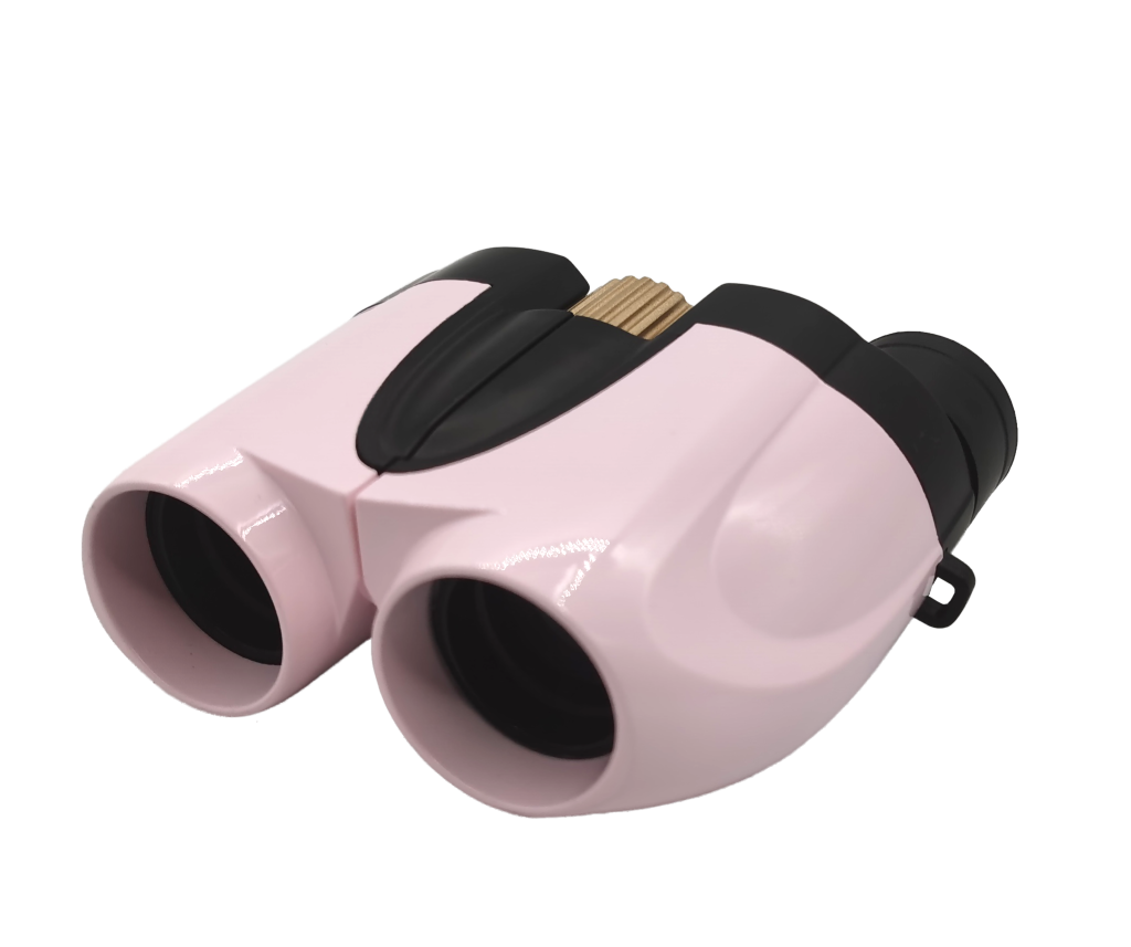 Compact 10x25 Binoculars LIDP253 2