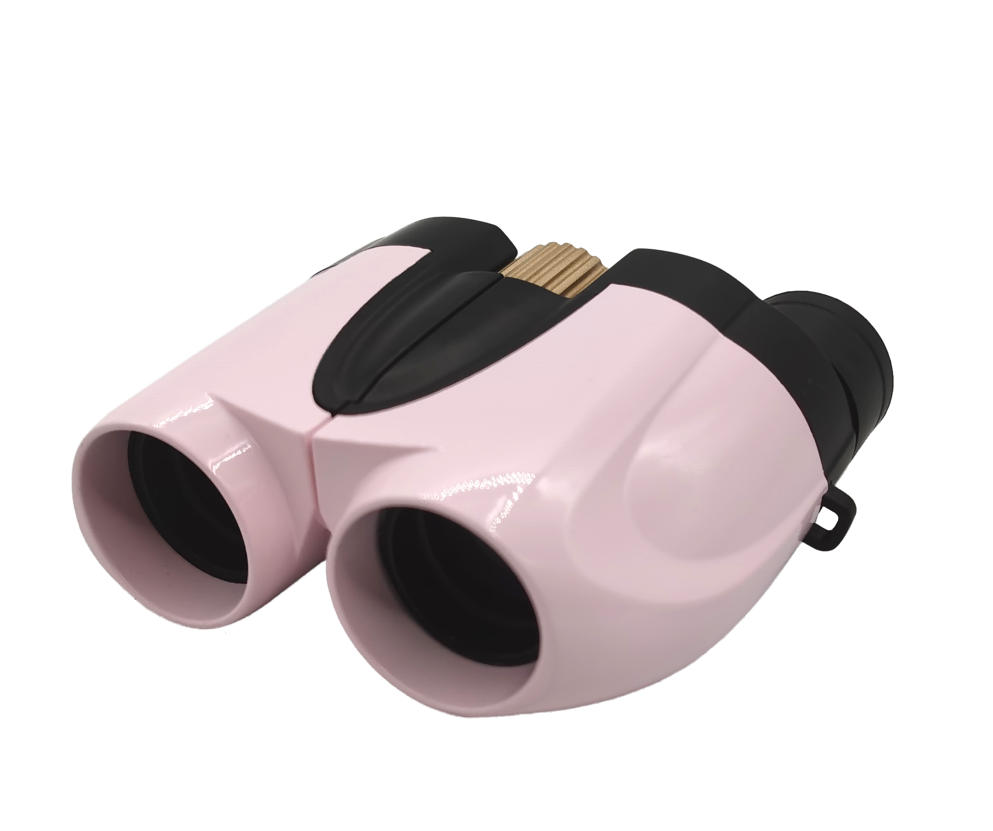 Compact 10x25 Binoculars LIDP253 2