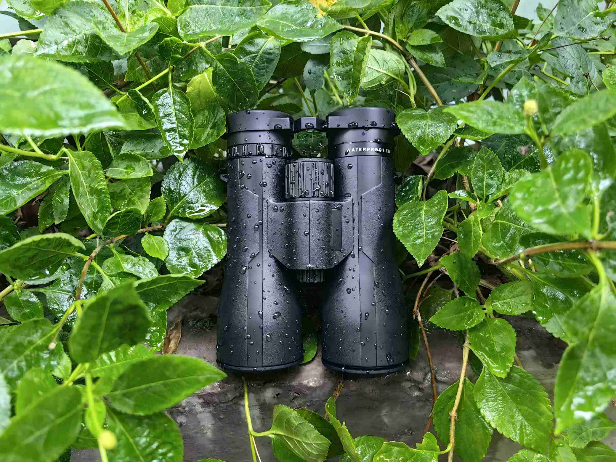 10×50 Waterproof Binoculars DAMR1050-1 2