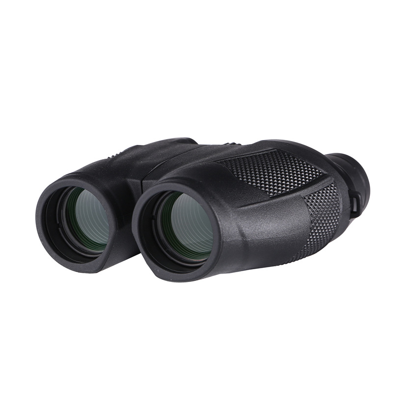 10x25 Porro Binoculars LODP10251 3