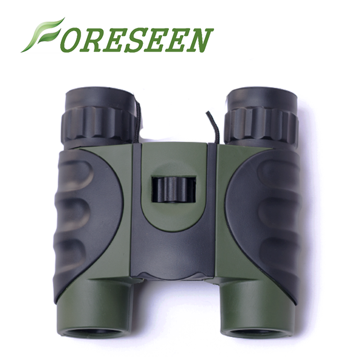 10x25 Foldable Binoculars LIDR8251 3