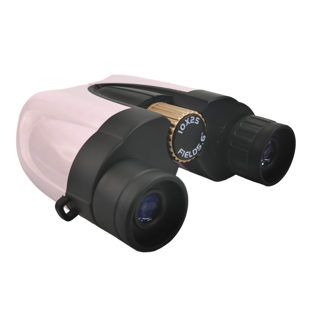 Compact 10x25 Binoculars LIDP253 3