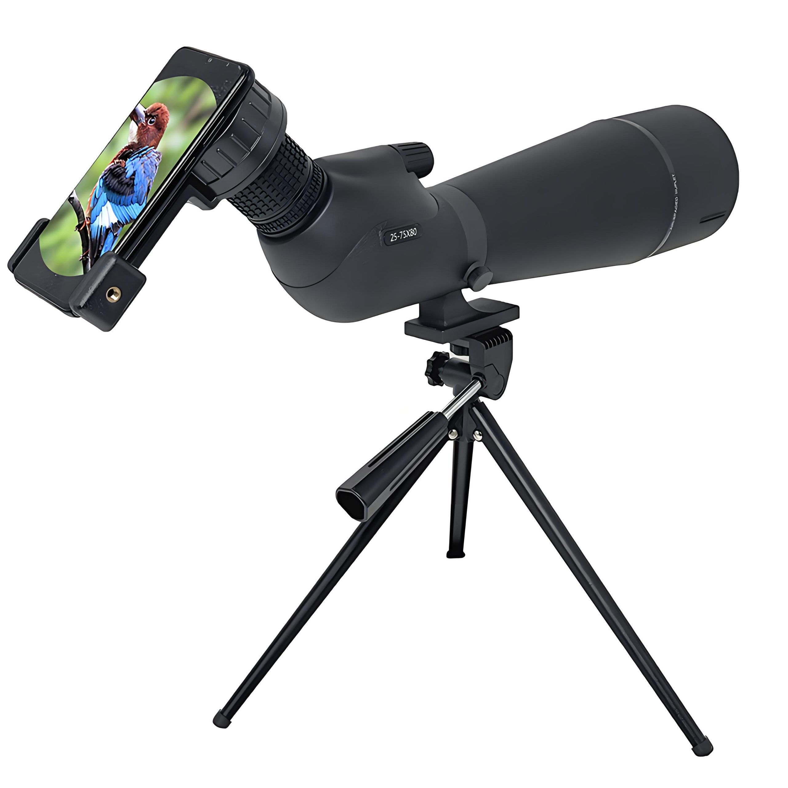 20–60x80 Spotting Scope DEWS2575801 5