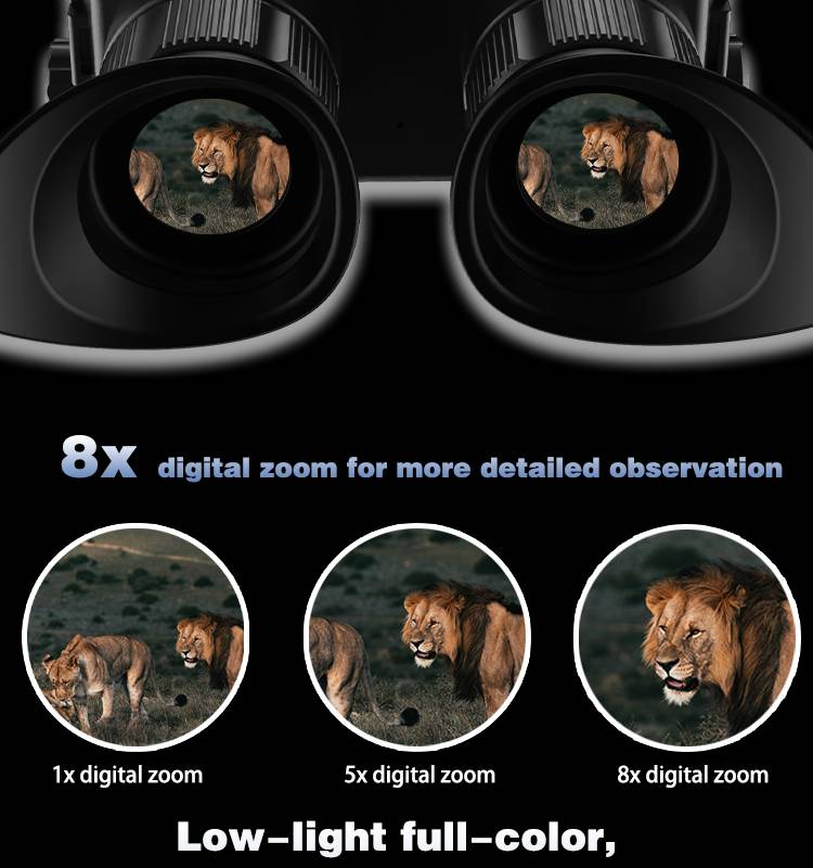 4K UHD Night Vision Binoculars GDZ9157-5