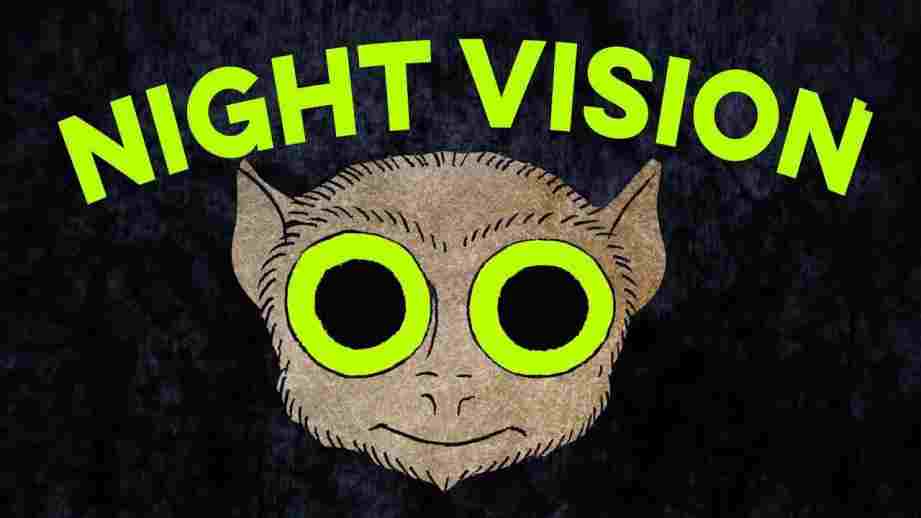 Animals' Night Vision