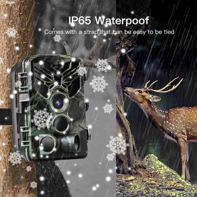 Benefits of WiFi trail cameras