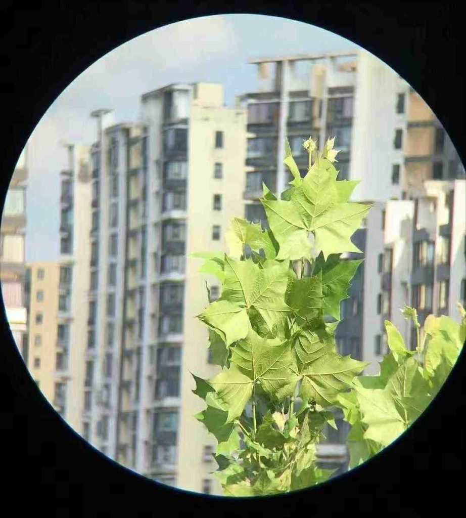 how far zoom binoculars