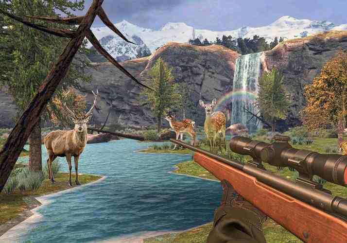 Deer Hunting