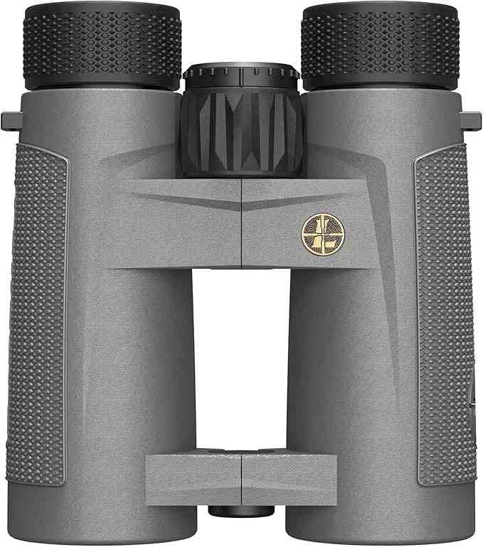 Leupold BX-4 Pro Guide HD 10x42
