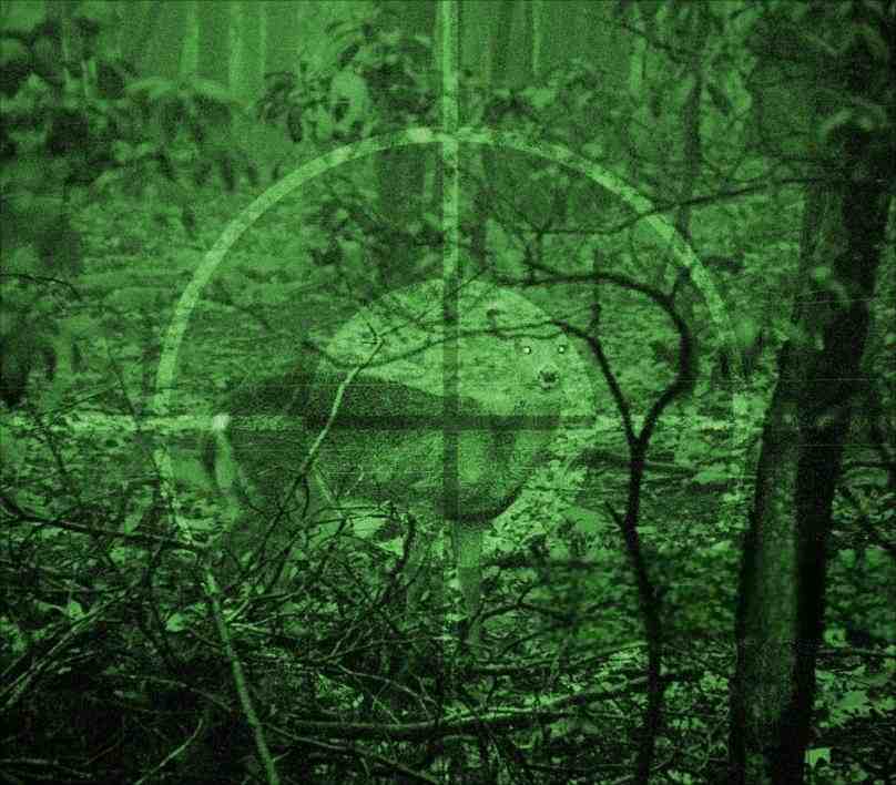 Use a Night Vision Rifle Scopes hunting deer