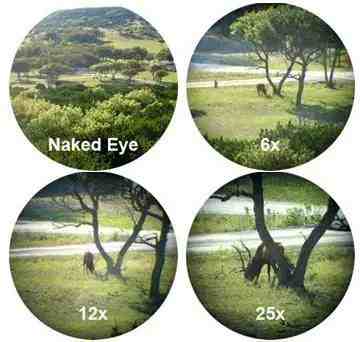 Laser Rangefinder Rifle Scopes observe prey