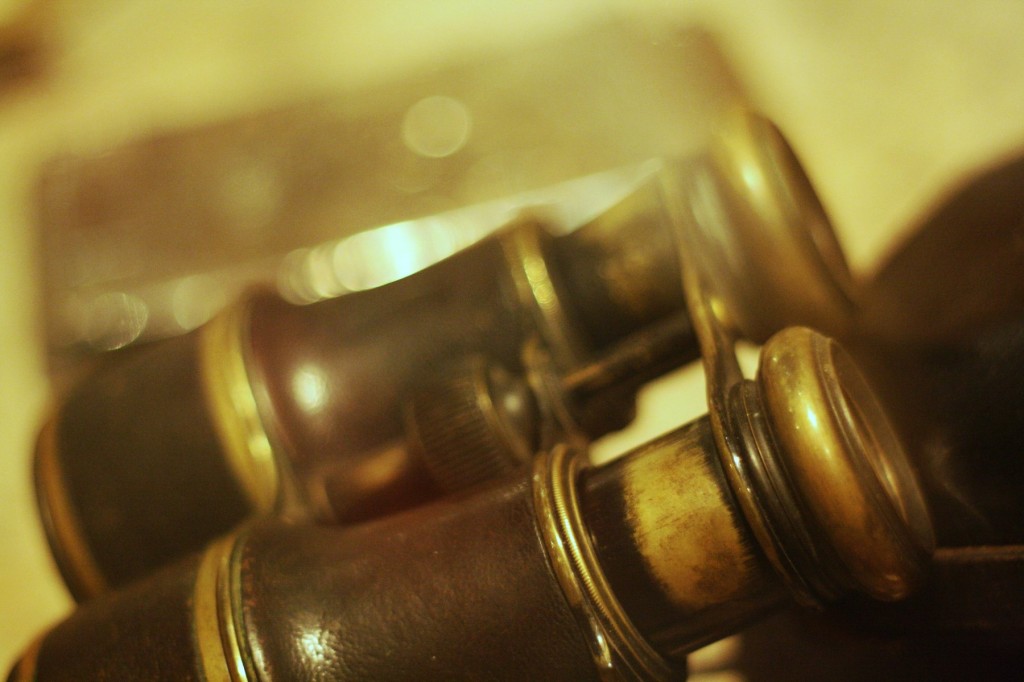 A reminder that binocular families are as much about form factor and handling as they are about optics