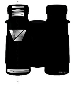 Roof Prism vs Porro Prism Binoculars: Pros, Cons, and Which One to Buy ...