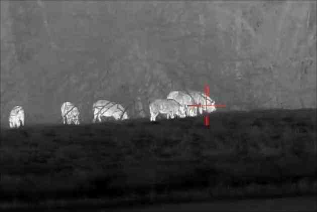 Thermal imaging scope for night hunting
