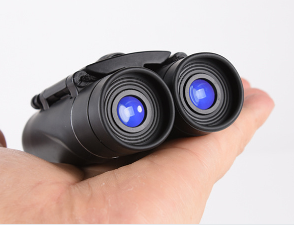 Compact 8×21 Roof Prism Binoculars LIDR82110