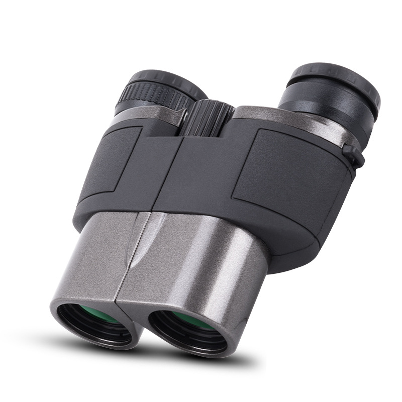 Compact 10×25 Porro Prism Binoculars LODP10252