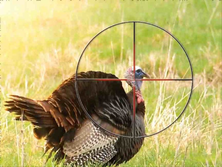 Real Hunting Situations