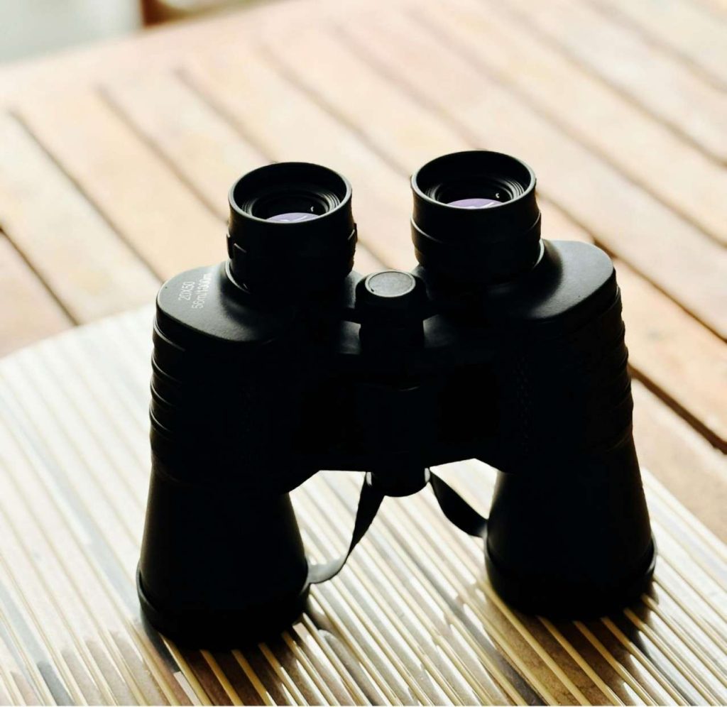 professional binoculars