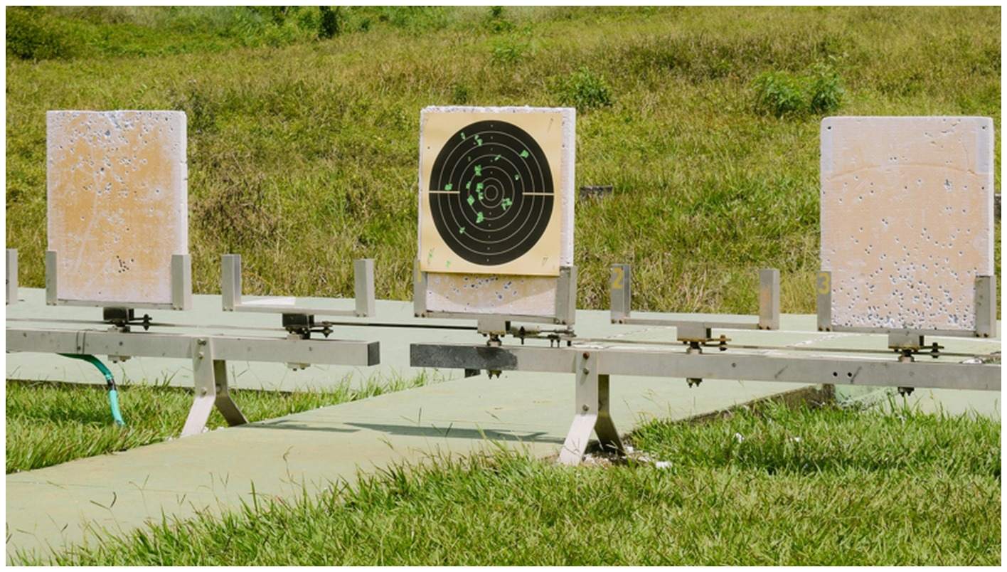 Beyond Clarity: Why Precision Target Shooting Demands Specialized ...