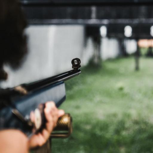 Range training