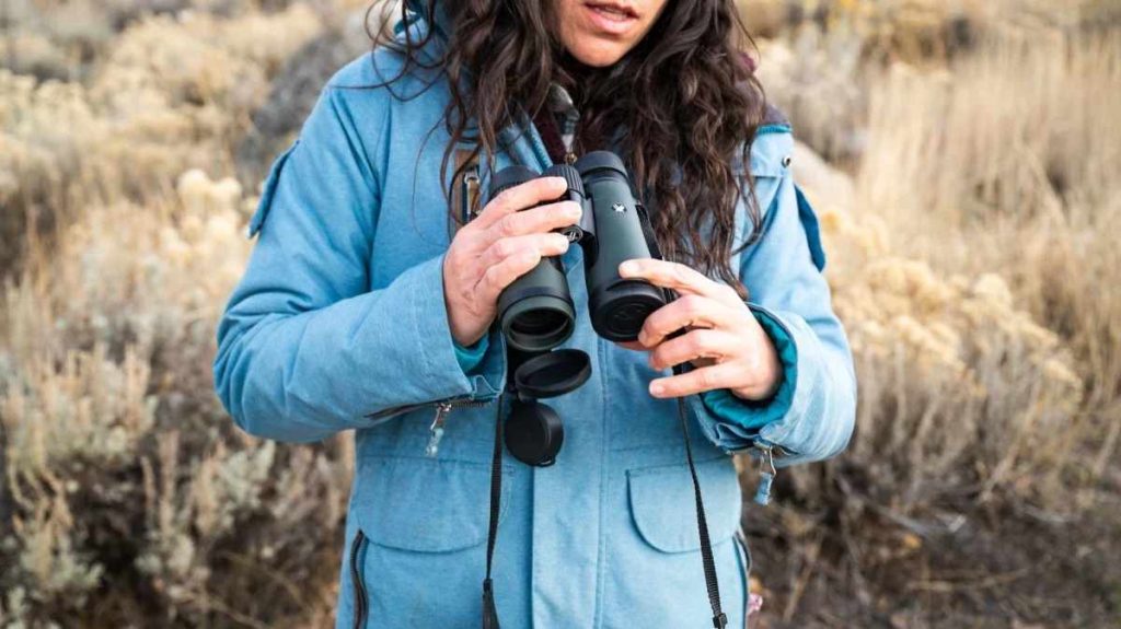 Professional binoculars outdoor display