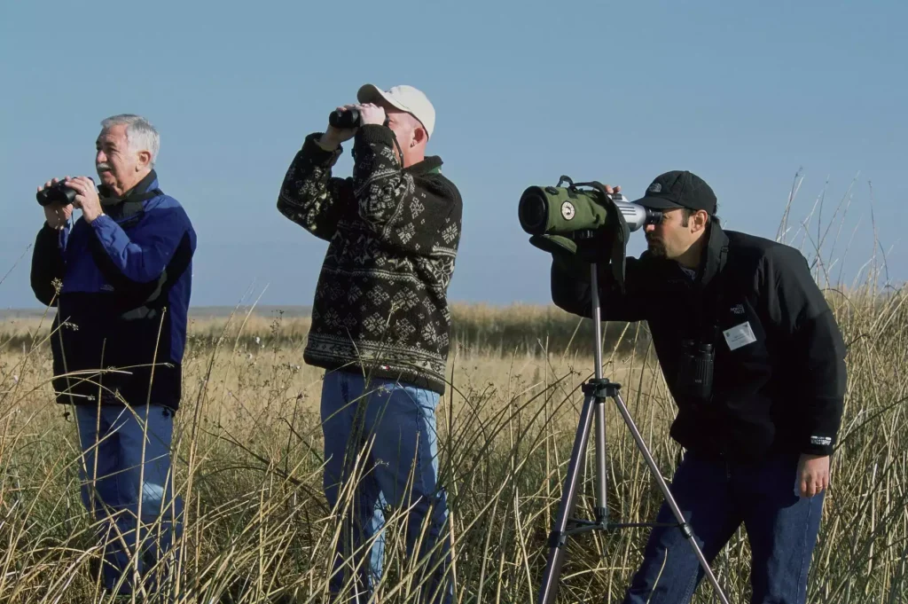 Use professional binoculars outdoors 2