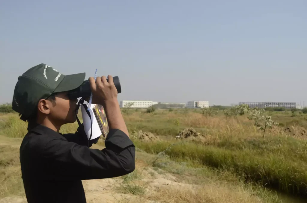 Use professional binoculars outdoors 3