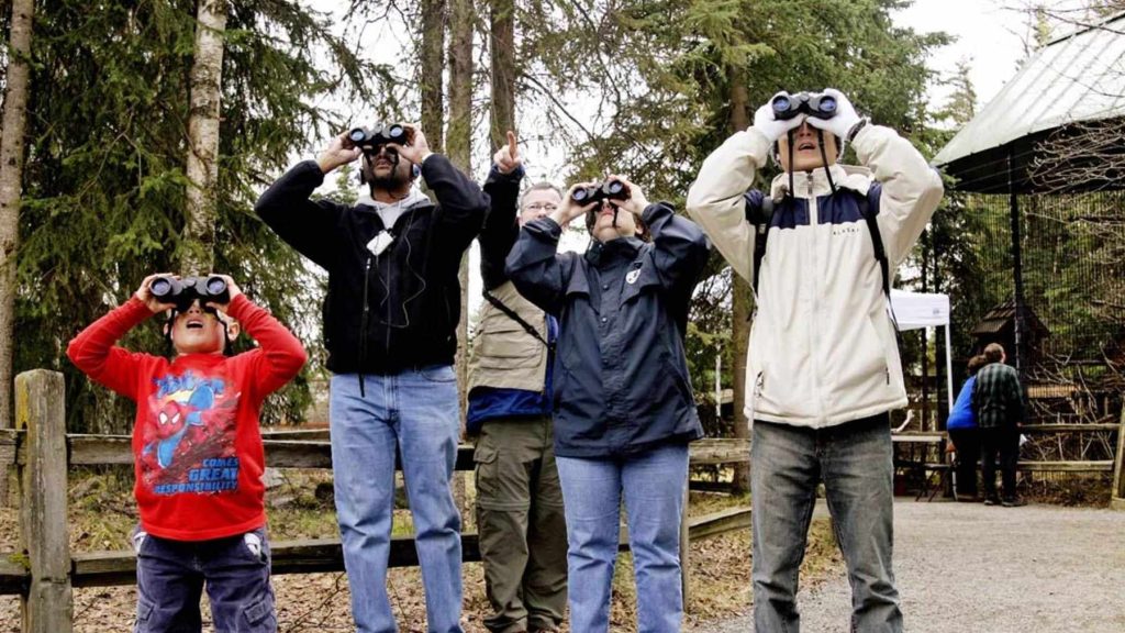 Using binoculars outdoors