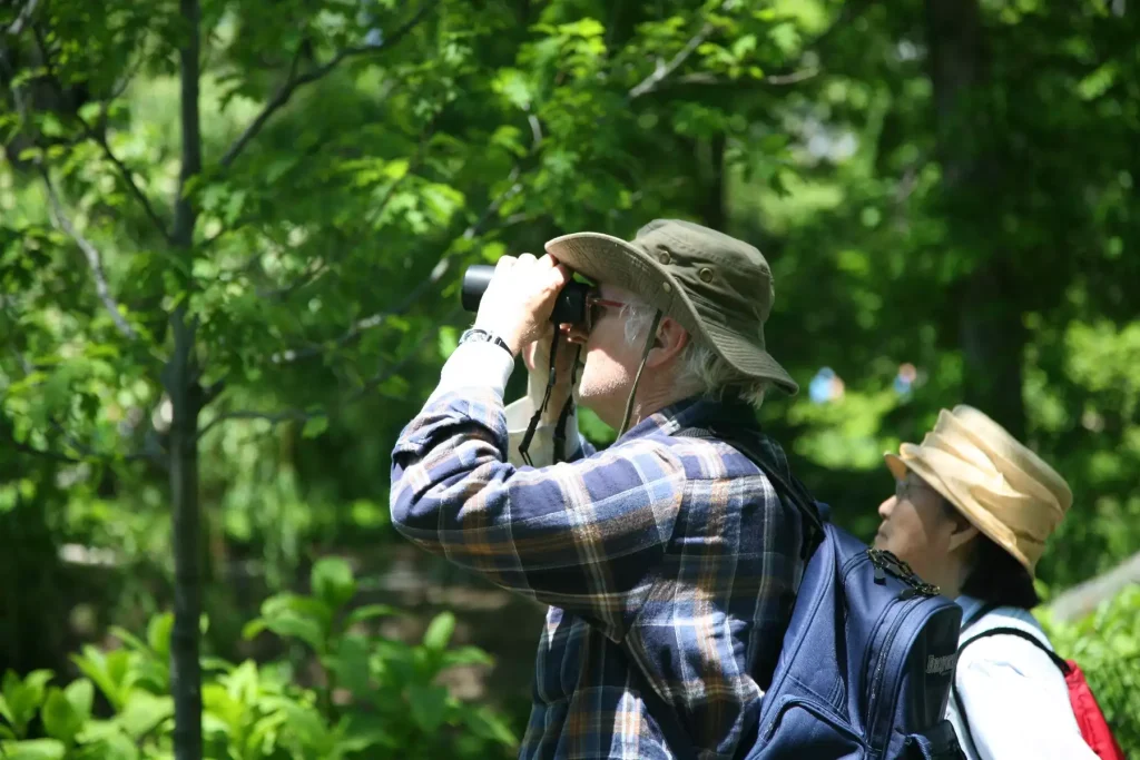 Using binoculars outdoors