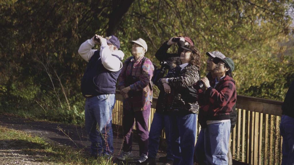 Using binoculars outdoors 2