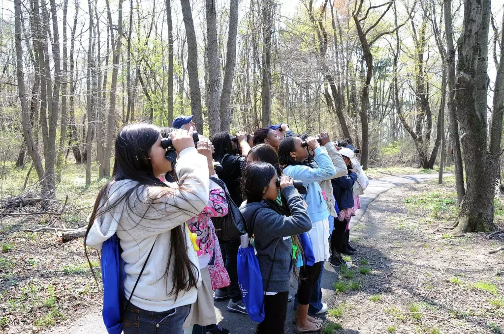 Using binoculars outdoors 2